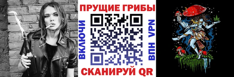 Псилоцибиновые грибы Cubensis Новая Усмань
